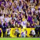 LSU football, Transfer portal, Andre Sam