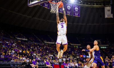 LSU basketball, transfer portal, Daimion Collins