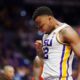 elite transfer portal target, LSU basketball, Zyon Pullin