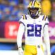 LSU football lands defensive back, Maurice Williams Jr, defensive back, class of 2024