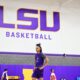 LSU basketball recruiting, Annor Boateng, class of 2024, four-star, wing