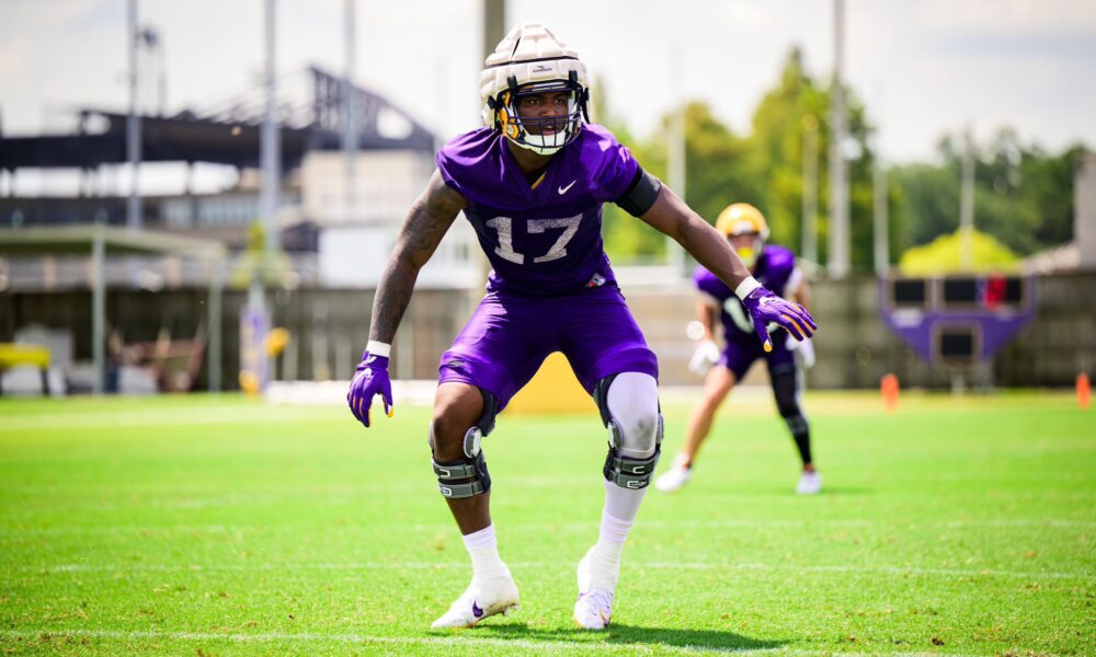 LSU football freshman, Da'Shawn Womack, Brian Kelly, freshman, edge rusher