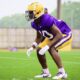 cornerback Denver Harris, cornerback, LSU football, week two, transfer portal