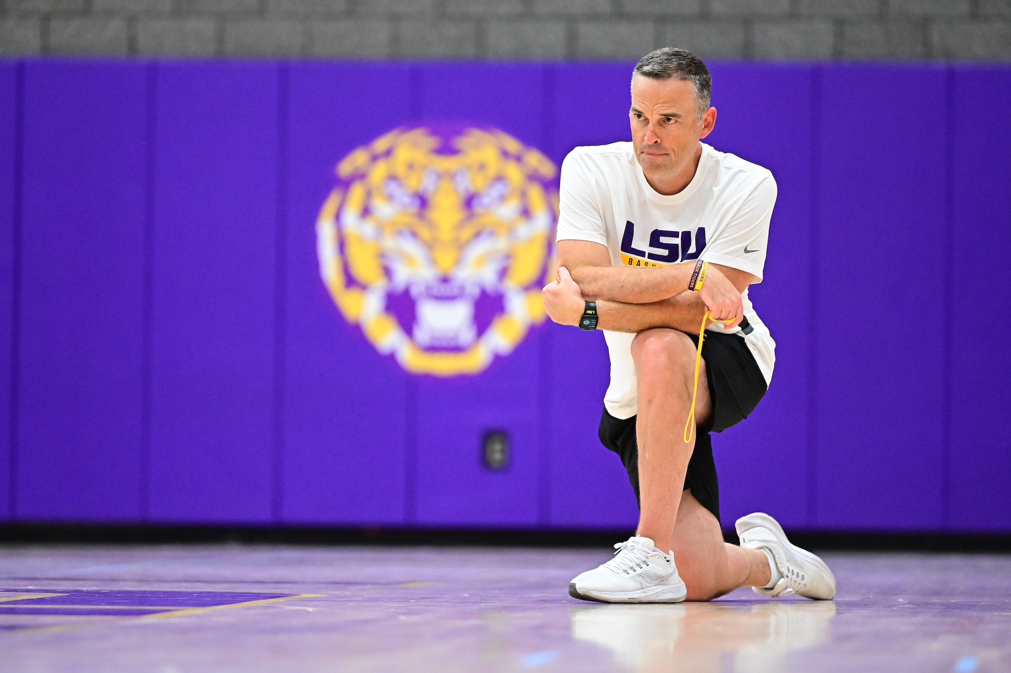 LSU basketball stars, Matt McMahon, Nicholls, Jalen Reed, Mike Williams