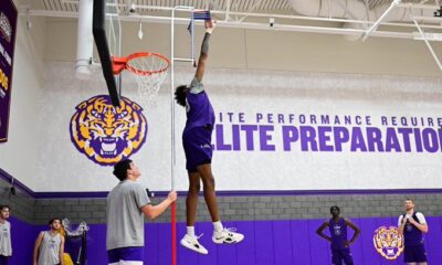 LSU basketball transfer portal addition, transfer portal, Daimion Collins, power forward, Kentucky