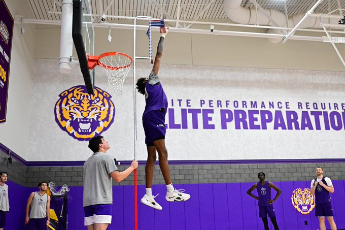 LSU basketball transfer portal addition, transfer portal, Daimion Collins, power forward, Kentucky