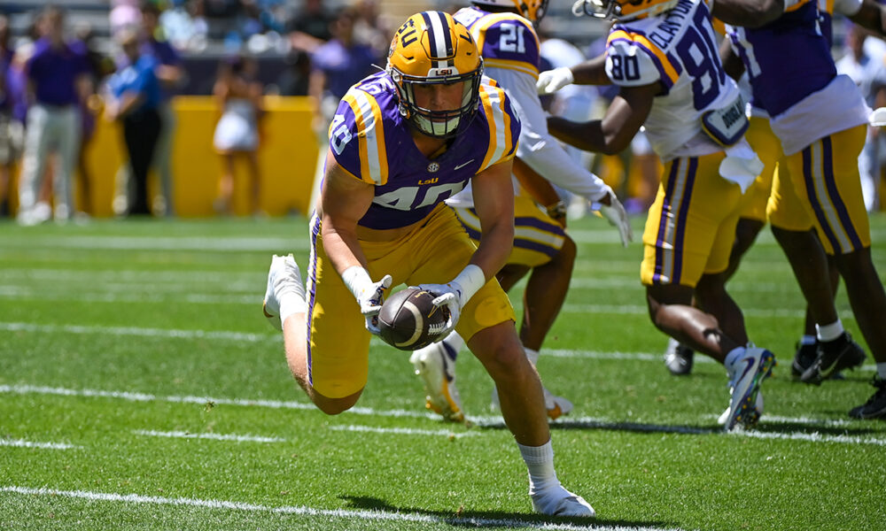 LSU football freshmen, Ka'Morreun Pimpton, Da'Shawn Womack, Whit Weeks, 2023