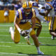 LSU football freshmen, Ka'Morreun Pimpton, Da'Shawn Womack, Whit Weeks, 2023