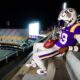 LSU football recruiting, Bryce Underwood, Brian Kelly, class of 2025, five-star