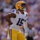 veteran LSU defensive back, Sage Ryan, LSU, transfer, 2024