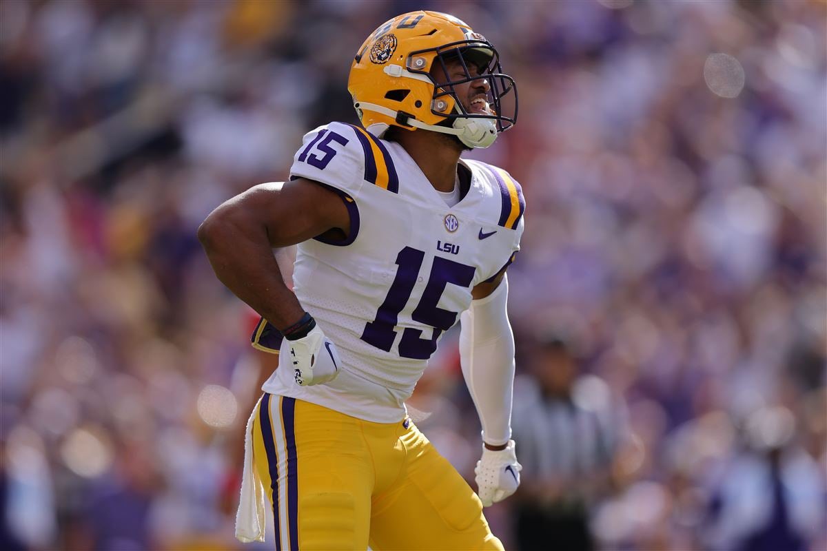 veteran LSU defensive back, Sage Ryan, LSU, transfer, 2024