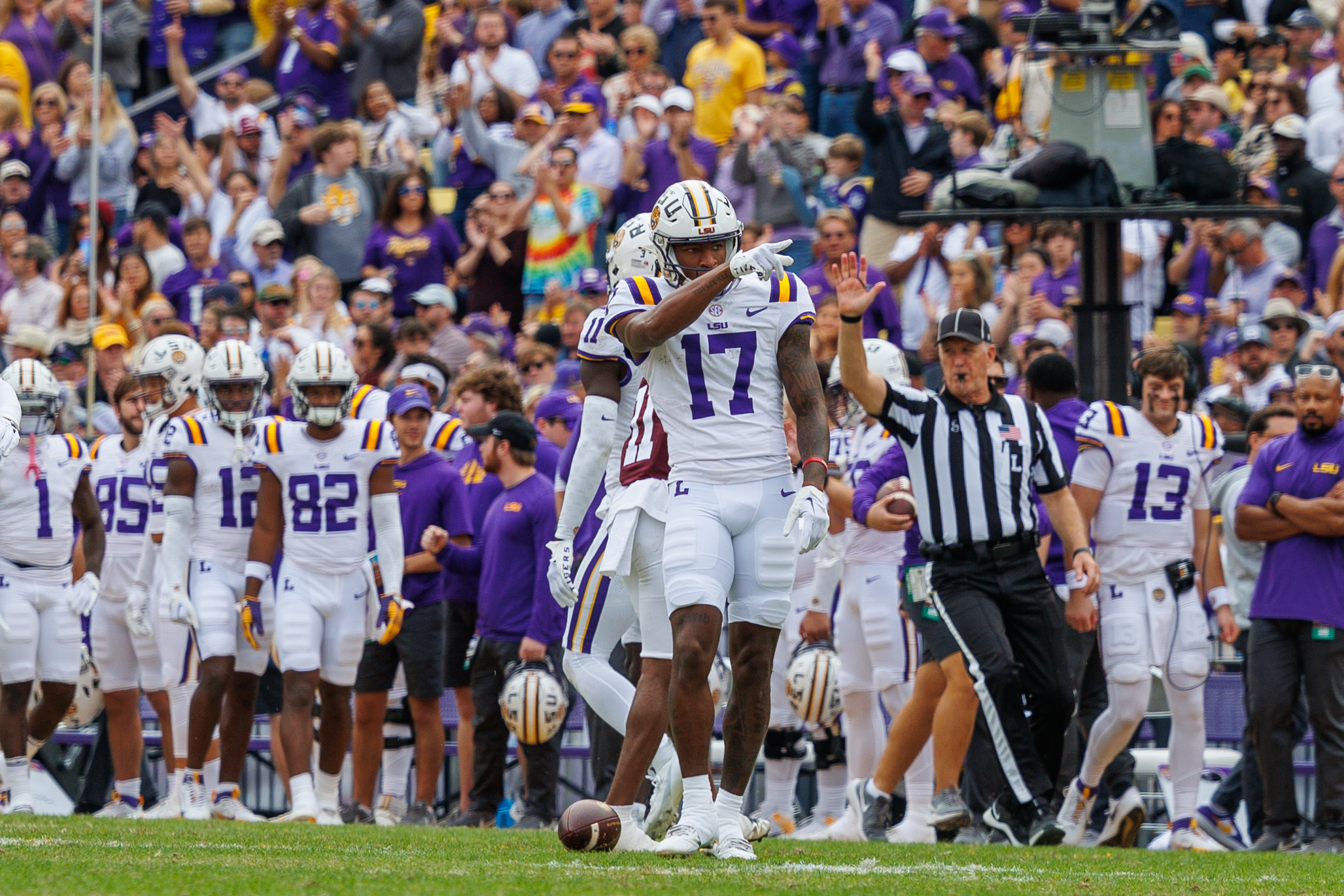 Tiger Stadium, LSU, stadium, football, EA Sports