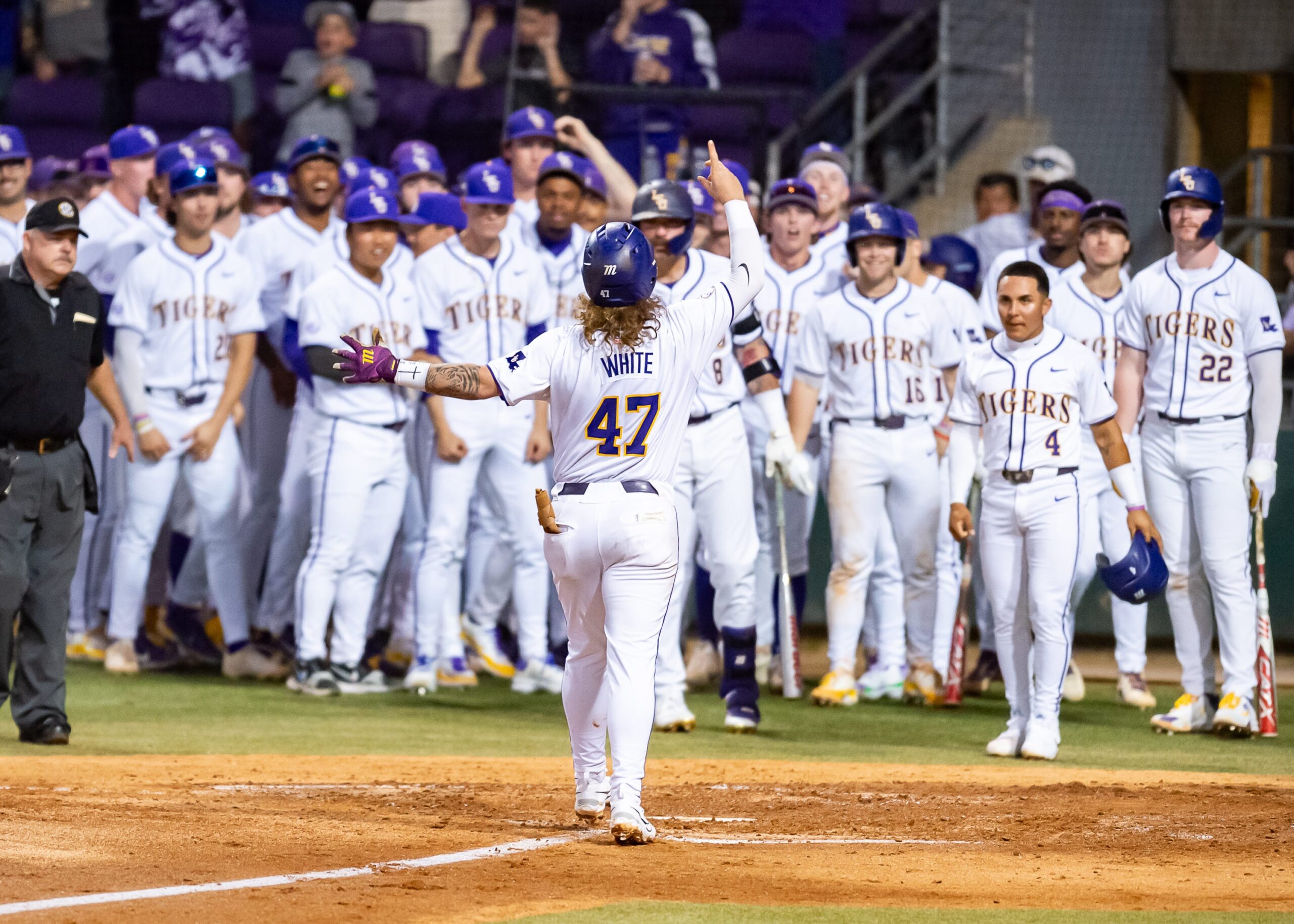 LSU baseball, 2024, tournament, LSU, baseball