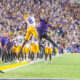 Tiger Stadium, LSU, EA Sports, stadium, football