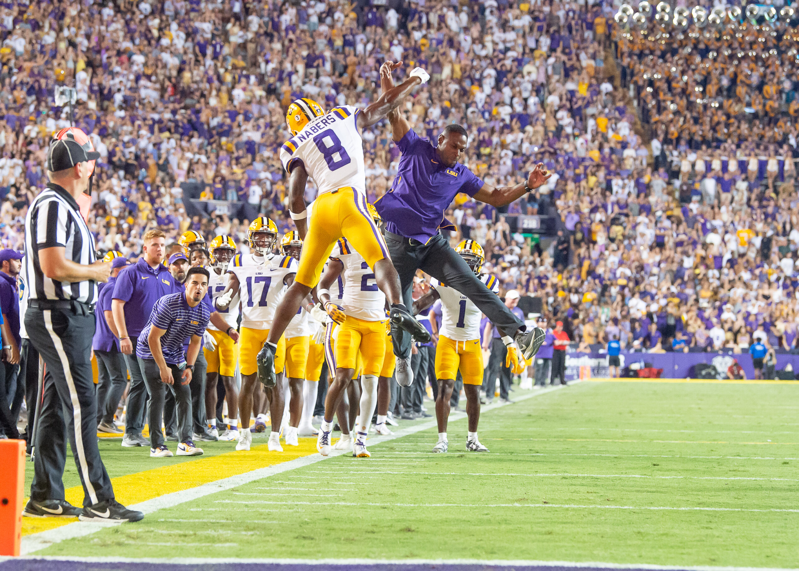 LSU Football Challenges EA Sports’ Tiger Stadium Ranking in Top College Football Venues