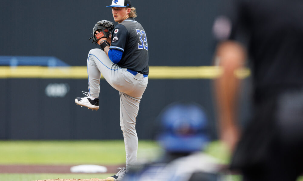 LSU baseball, LSU, transfer, pitcher, Luke Hayden