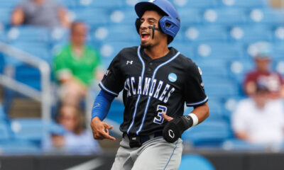 LSU baseball, LSU, Luis Hernandez, catcher, transfer