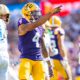 CJ Daniels, LSU, wide receiver, transfer portal, 2025