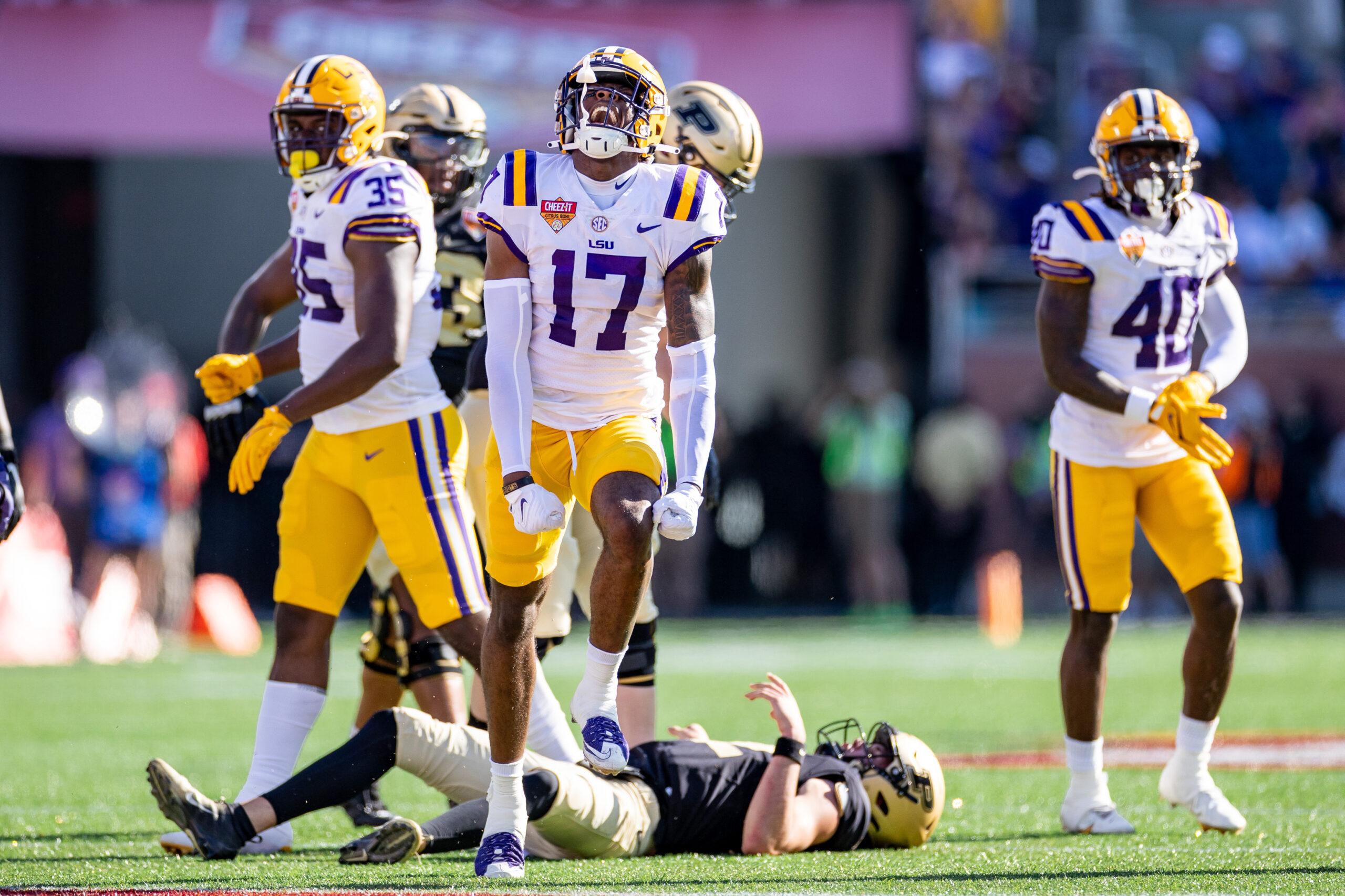 Richard Anderson, LSU, football, defensive lineman, class of 2026